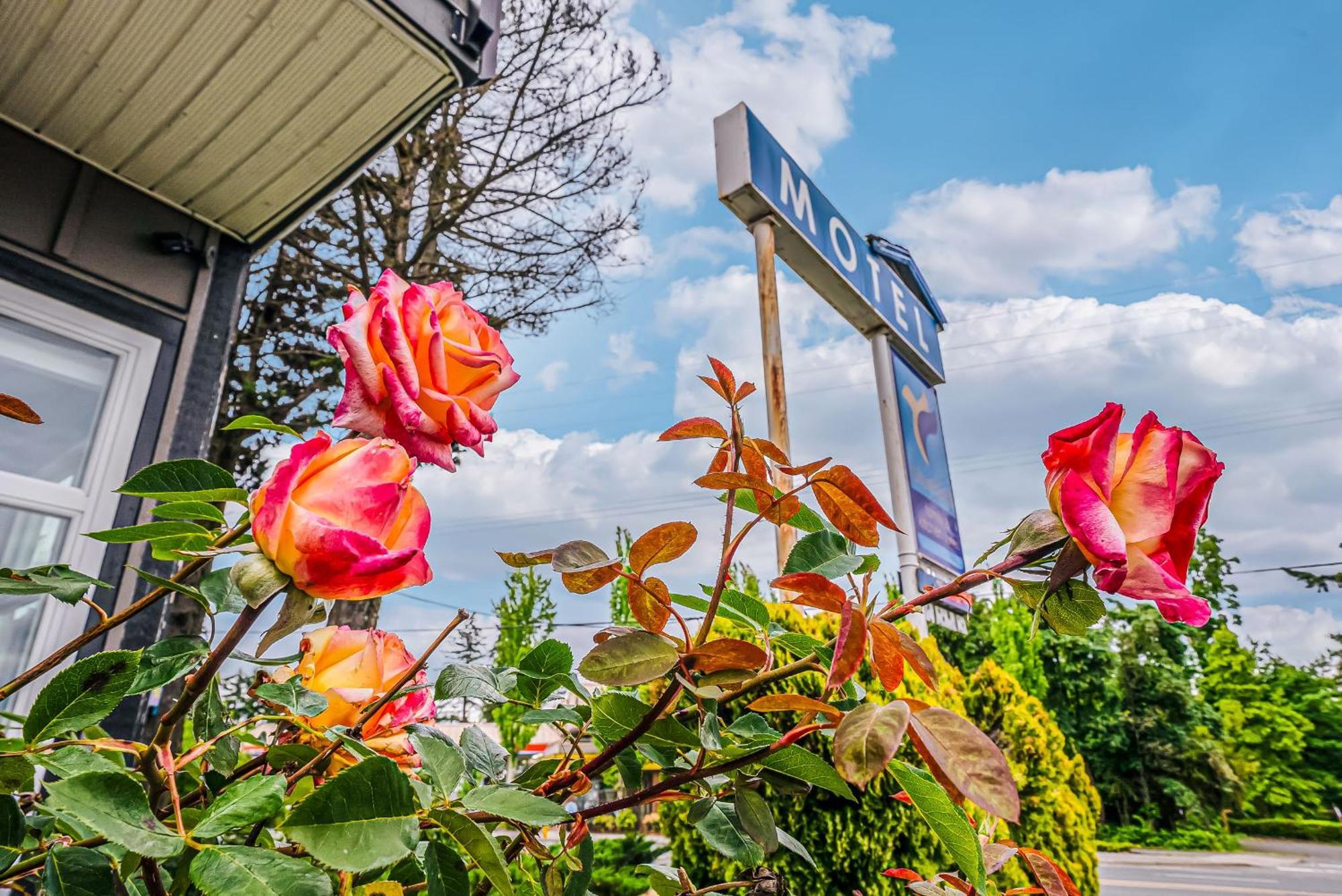 Bluebird Motel Nanaimo Eksteriør billede